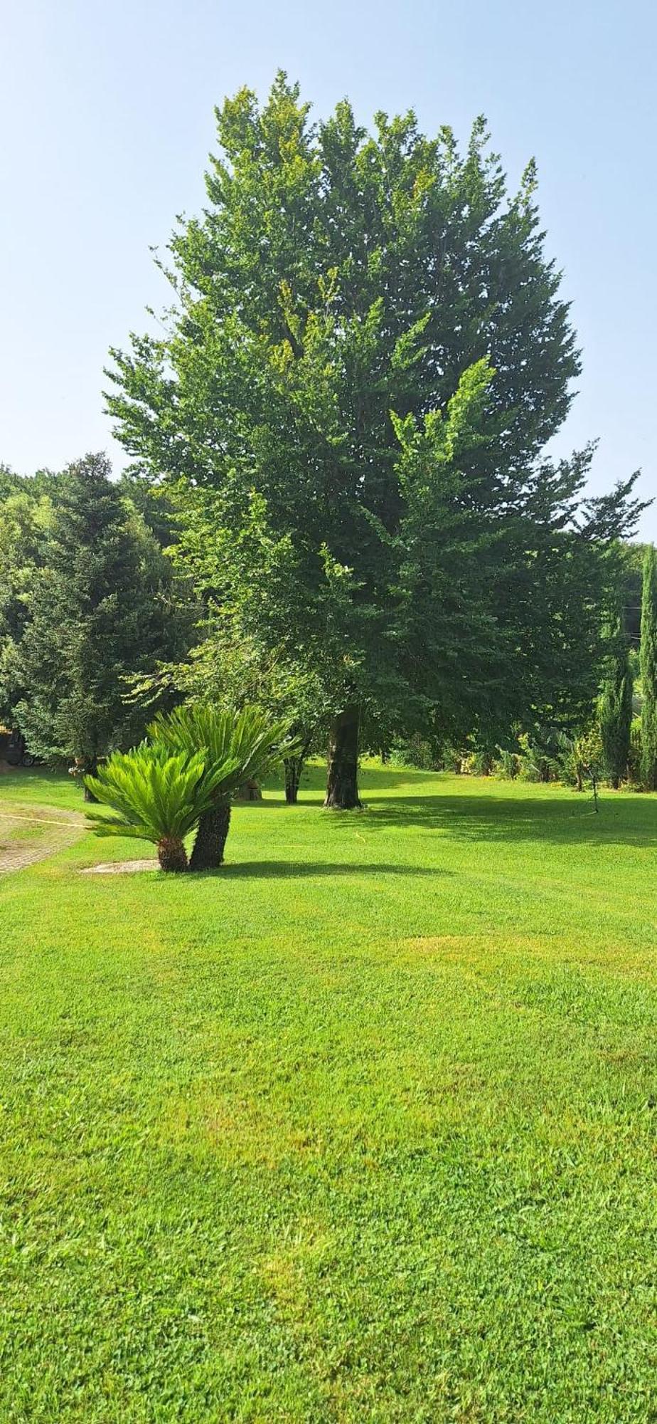 Villa Lucilla Altavilla Silentina Exterior foto